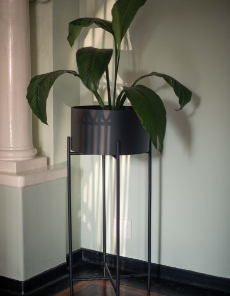 Party Planter: Original